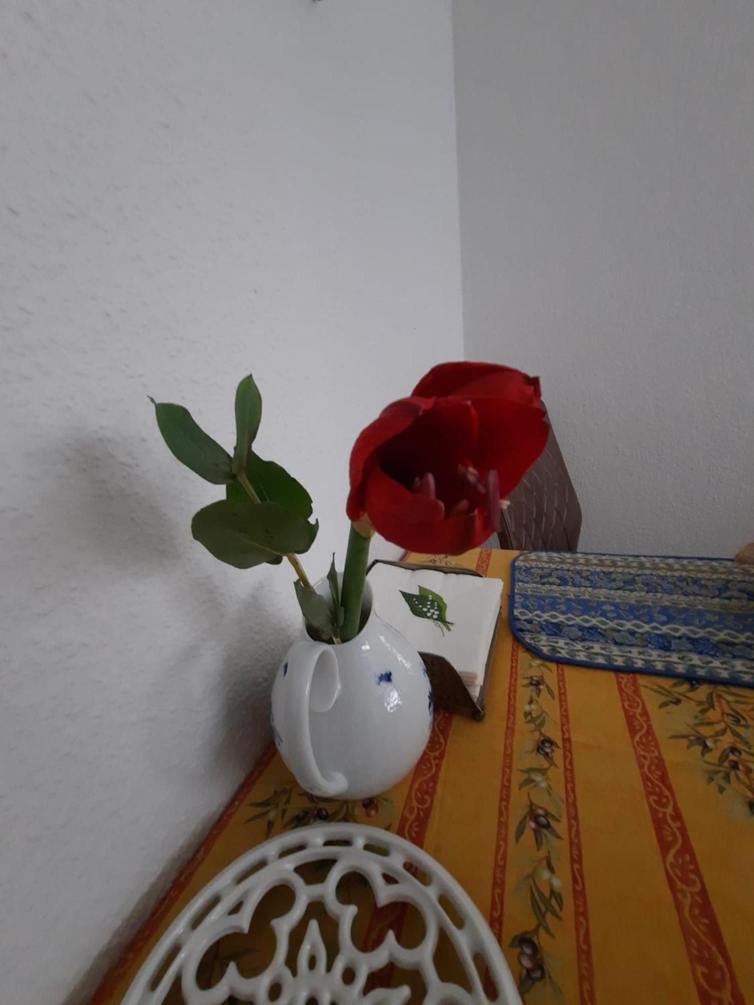 Gemuetliches Nest In Bester Koelner City-Wohnlage Bagian luar foto